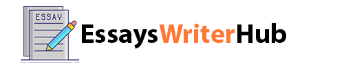 Essays Writer Hub
